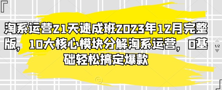 淘系运营21天速成班2023年12月完整版，10大核心模块分解淘系运营，0基础轻松搞定爆款