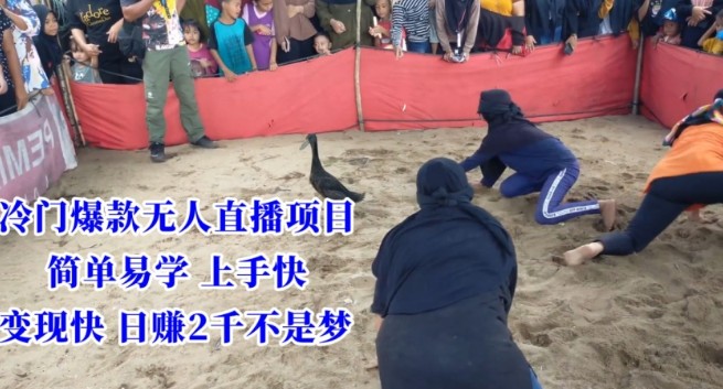 冷门爆款无人直播项目，简单易学上手快，变现快日赚2千不是梦【揭秘】