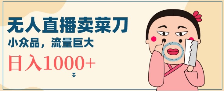 无人冷门品直播新玩法，通过卖菜刀日入1000+【揭秘】