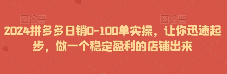 2024拼多多日销0-100单实操，让你迅速起步，做一个稳定盈利的店铺出来