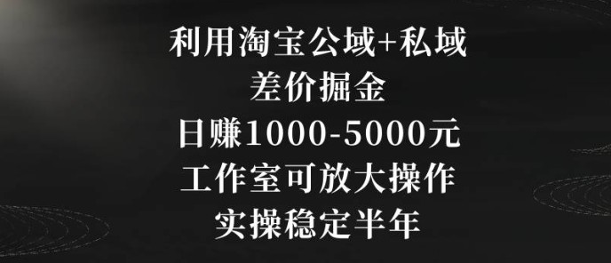 利用淘宝公域+私域差价掘金，日赚1000-5000元，工作室可放大操作，实操稳定半年【揭秘】