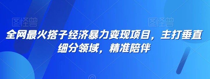 全网最火搭子经济暴力变现项目，主打垂直细分领域，精准陪伴【揭秘】